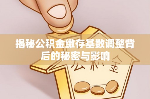 绿岛揭秘公积金缴存基数调整背后的秘密与影响