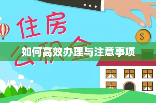 绿岛如何高效办理与注意事项