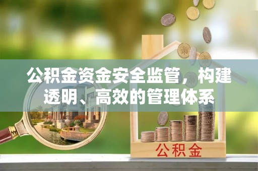 绿岛公积金资金安全监管，构建透明、高效的管理体系
