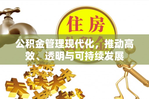 绿岛公积金管理现代化，推动高效、透明与可持续发展