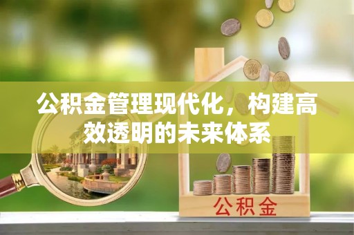 绿岛公积金管理现代化，构建高效透明的未来体系