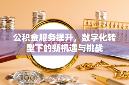 绿岛公积金服务提升，数字化转型下的新机遇与挑战