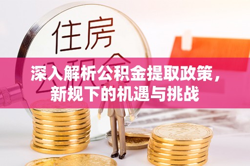 绿岛深入解析公积金提取政策，新规下的机遇与挑战