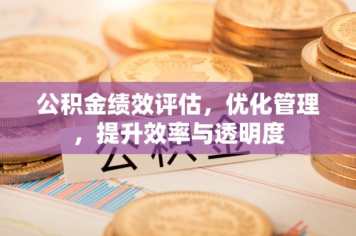 绿岛公积金绩效评估，优化管理，提升效率与透明度