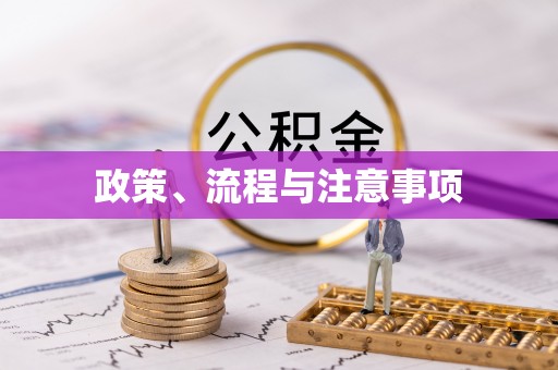 绿岛政策、流程与注意事项