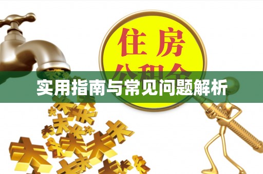 绿岛实用指南与常见问题解析