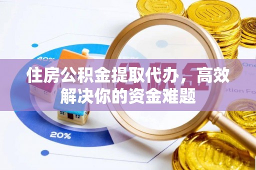 绿岛住房公积金提取代办，高效解决你的资金难题