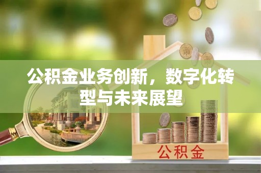 绿岛公积金业务创新，数字化转型与未来展望