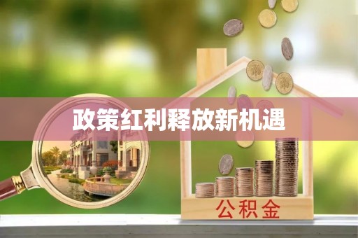绿岛政策红利释放新机遇
