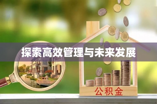 绿岛探索高效管理与未来发展