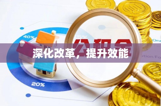 绿岛深化改革，提升效能