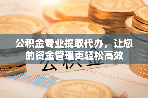 绿岛公积金专业提取代办，让您的资金管理更轻松高效
