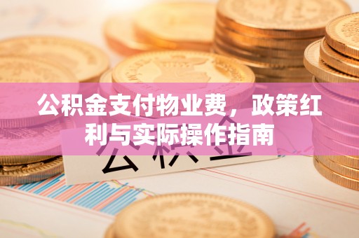 绿岛公积金支付物业费，政策红利与实际操作指南