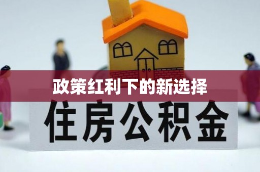 绿岛政策红利下的新选择