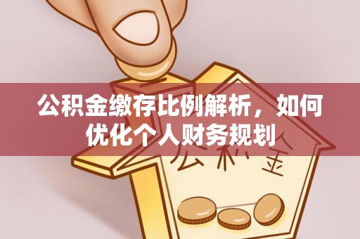 绿岛公积金缴存比例解析，如何优化个人财务规划