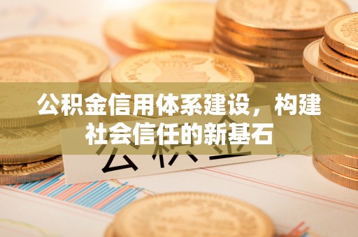 绿岛公积金信用体系建设，构建社会信任的新基石