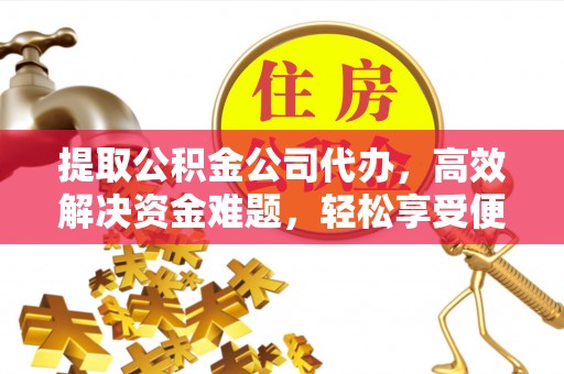 绿岛提取公积金公司代办，高效解决资金难题，轻松享受便捷服务