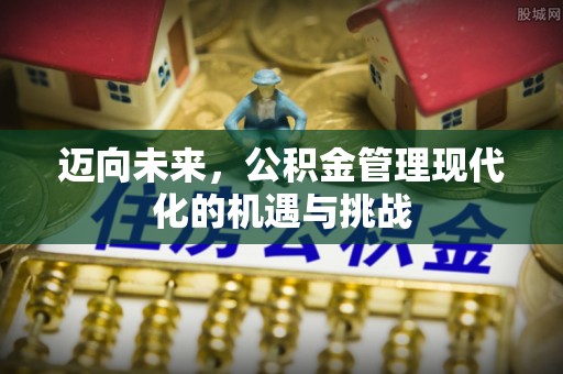 绿岛迈向未来，公积金管理现代化的机遇与挑战