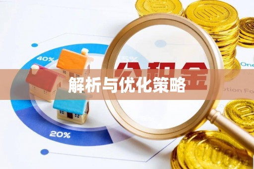绿岛解析与优化策略