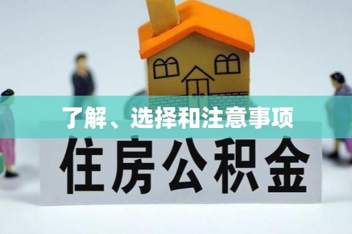 绿岛了解、选择和注意事项