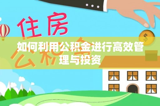 绿岛如何利用公积金进行高效管理与投资