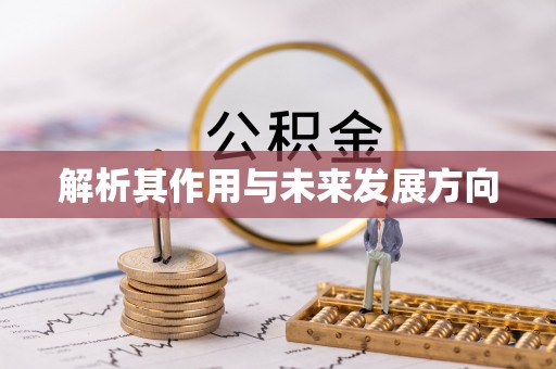 绿岛解析其作用与未来发展方向